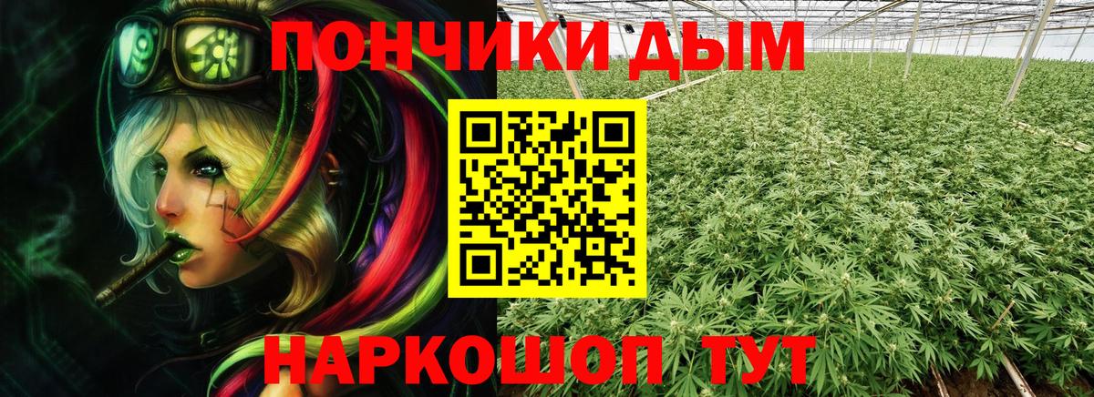 Бошки марихуана THC 21%  Марихуана конопля  Североморск  Вход с VPN 